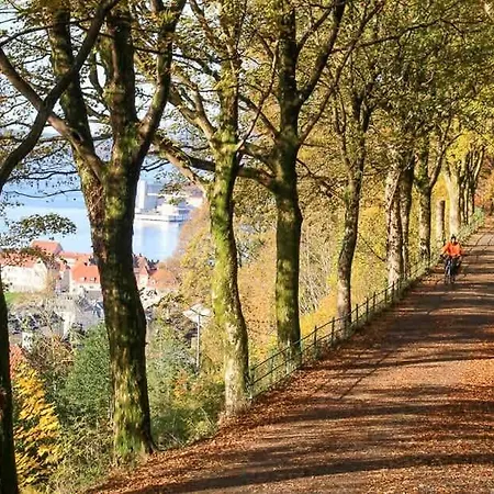 Apartment Dinbnb I Unique Opportunity I 350m To Bryggen I Quiet *